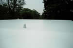 PVC Roofing