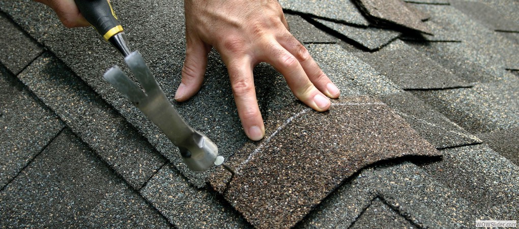 Asphalts Shingles