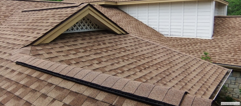 Shingle Roof
